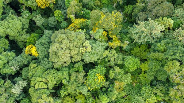 Le Rôle Pivotal de l'Ordre des Médecins dans l'Avancée de la Recherche Médicale