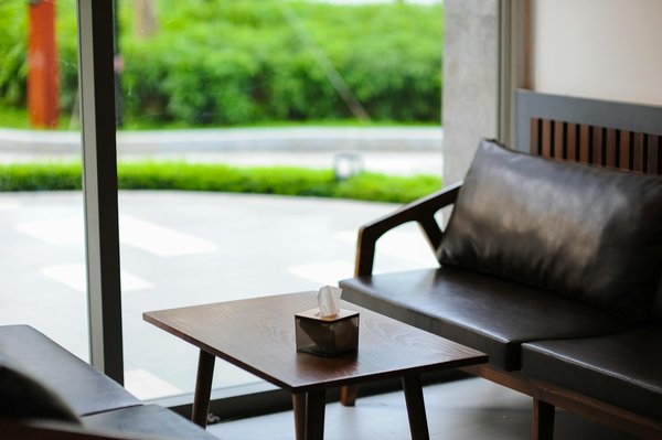 Découvrez les peluches capybara : douceur et diversité !